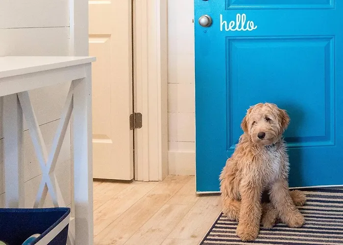 Prime True Blue Walk To Pool Pets Near The Hangout Parking Gulf Shores